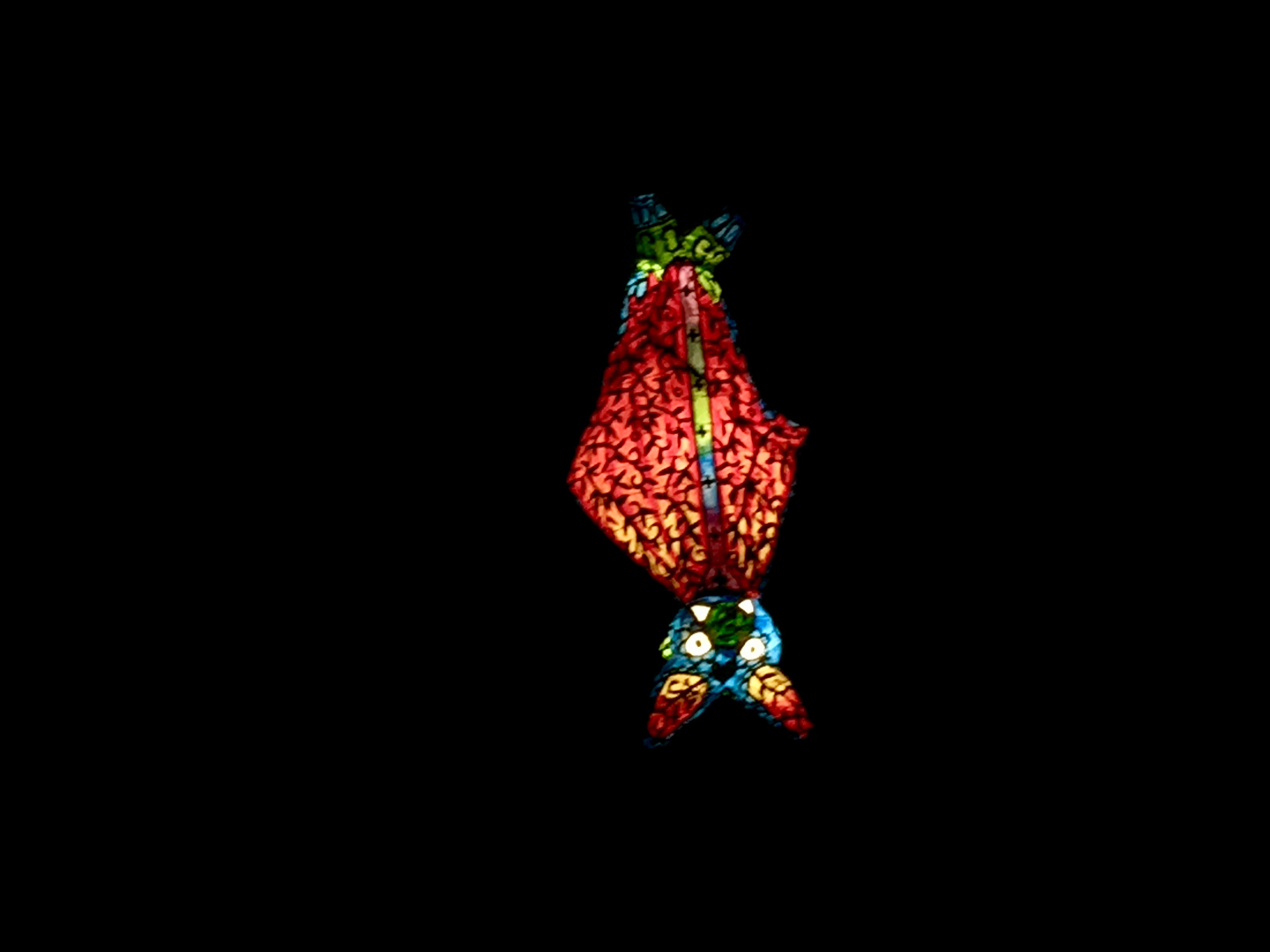 san antonio zoo lights 2016 amanda l james law san antonio zoo lights 2016