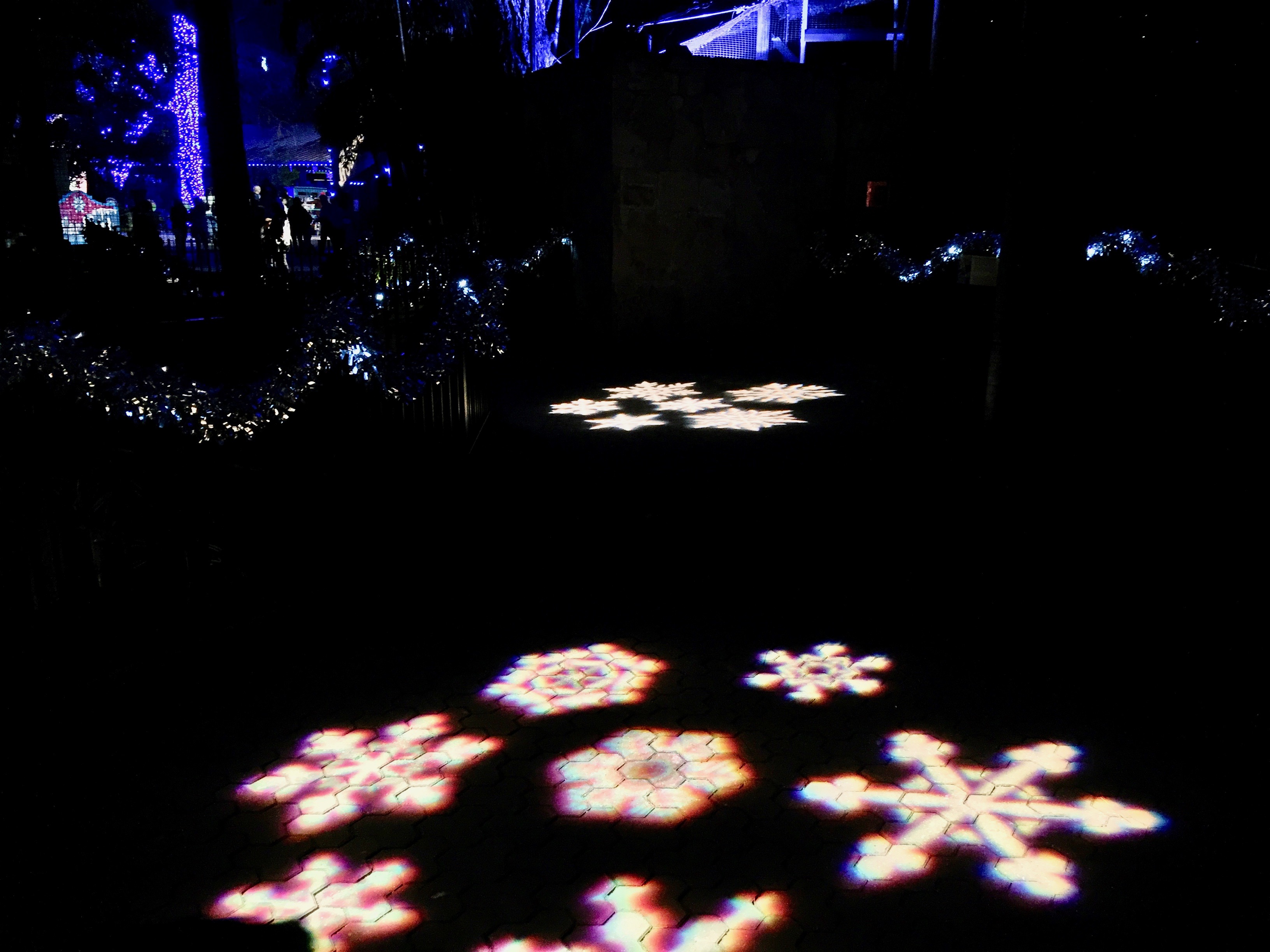 san antonio zoo lights 2016 amanda l james law san antonio zoo lights 2016