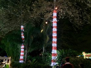 San Antonio Zoo Lights 2016