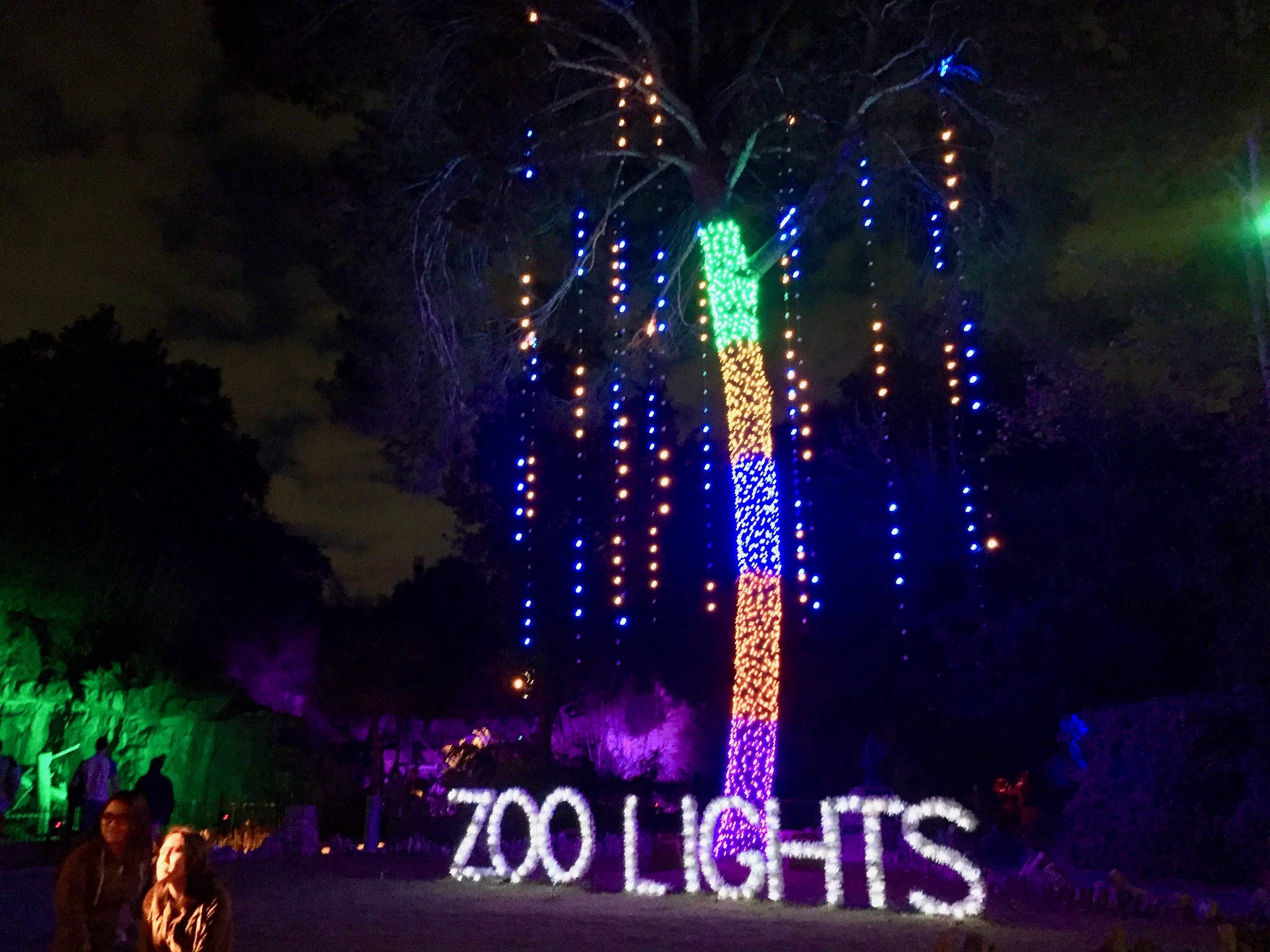 San Antonio Zoo Lights 2016 Amanda L. James Law