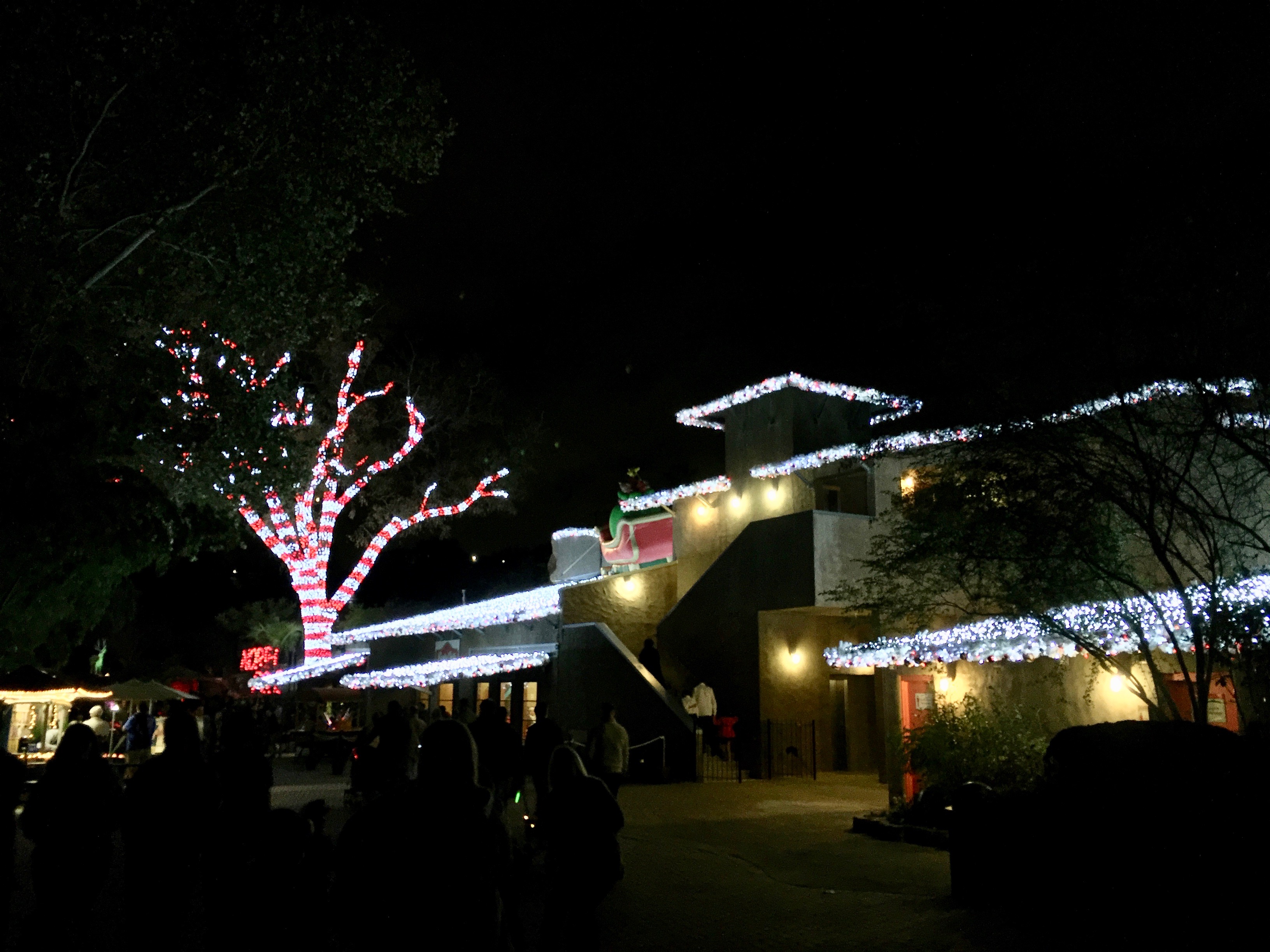 San Antonio Zoo Lights 2016 Amanda L. James Law