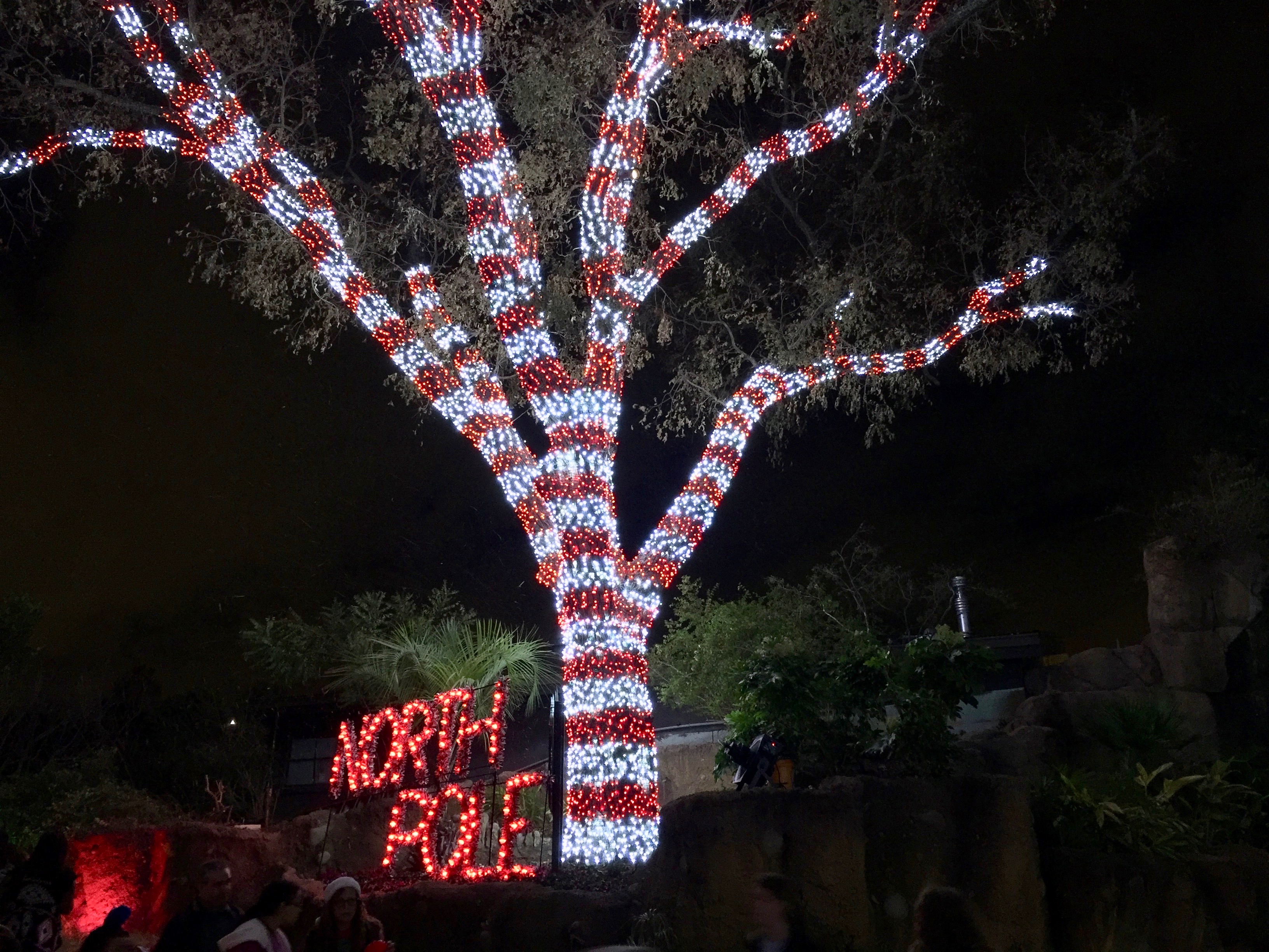 San Antonio Zoo Lights 2016 | Amanda L. James Law