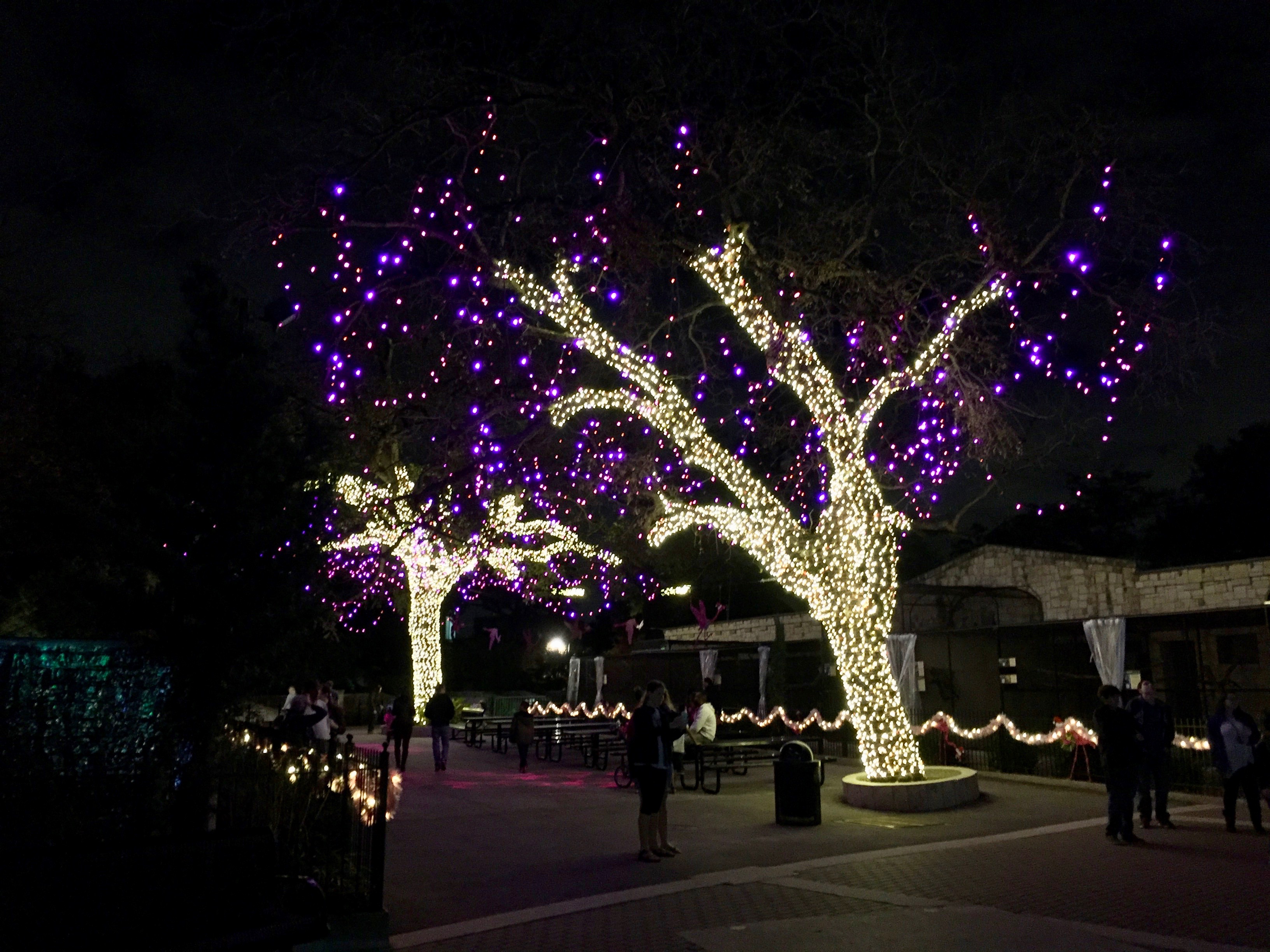 san antonio zoo lights 2016 amanda l james law san antonio zoo lights 2016