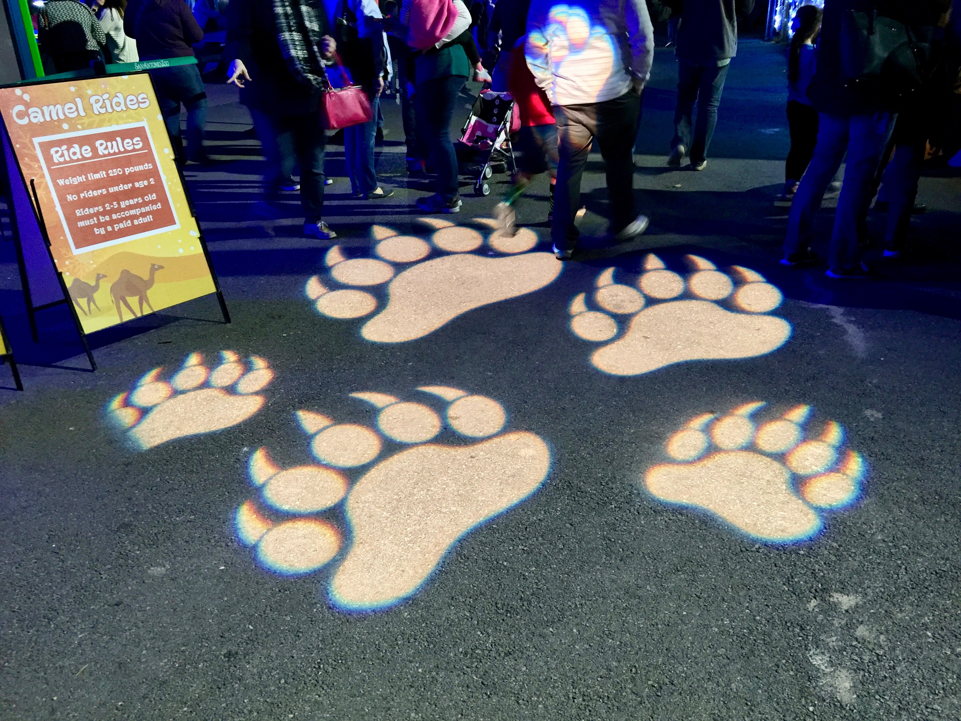 San Antonio Zoo Lights 2016 Amanda L. James Law