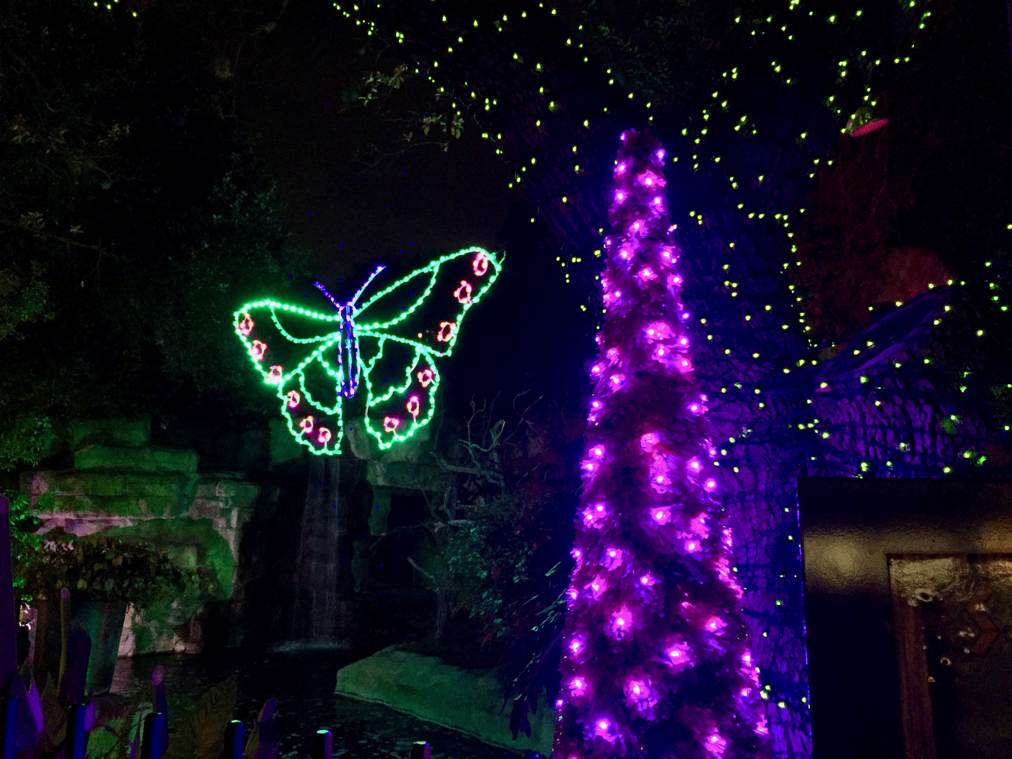 San Antonio Zoo Lights 2016 Amanda L. James Law