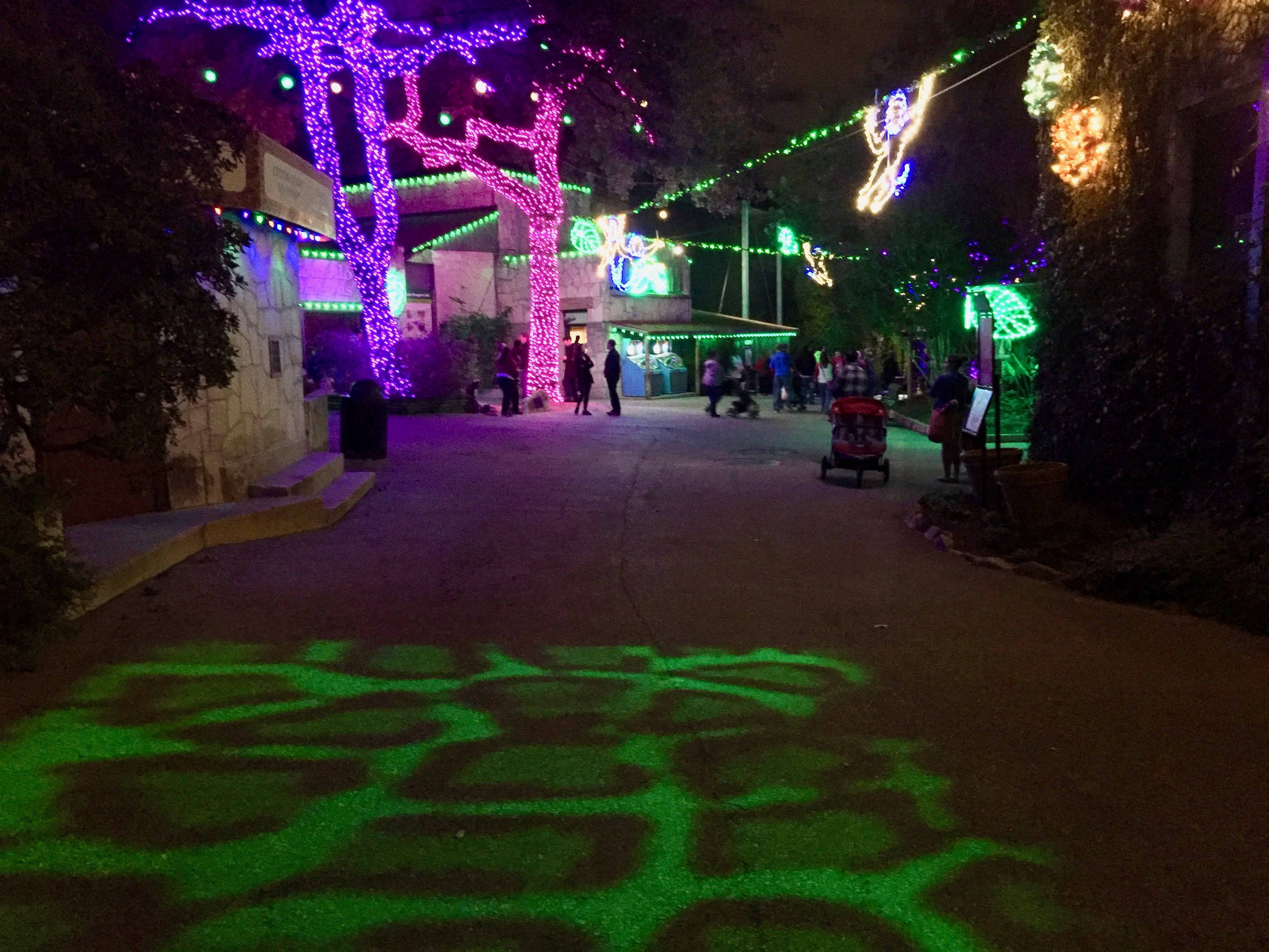 San Antonio Zoo Lights 2016 Amanda L. James Law