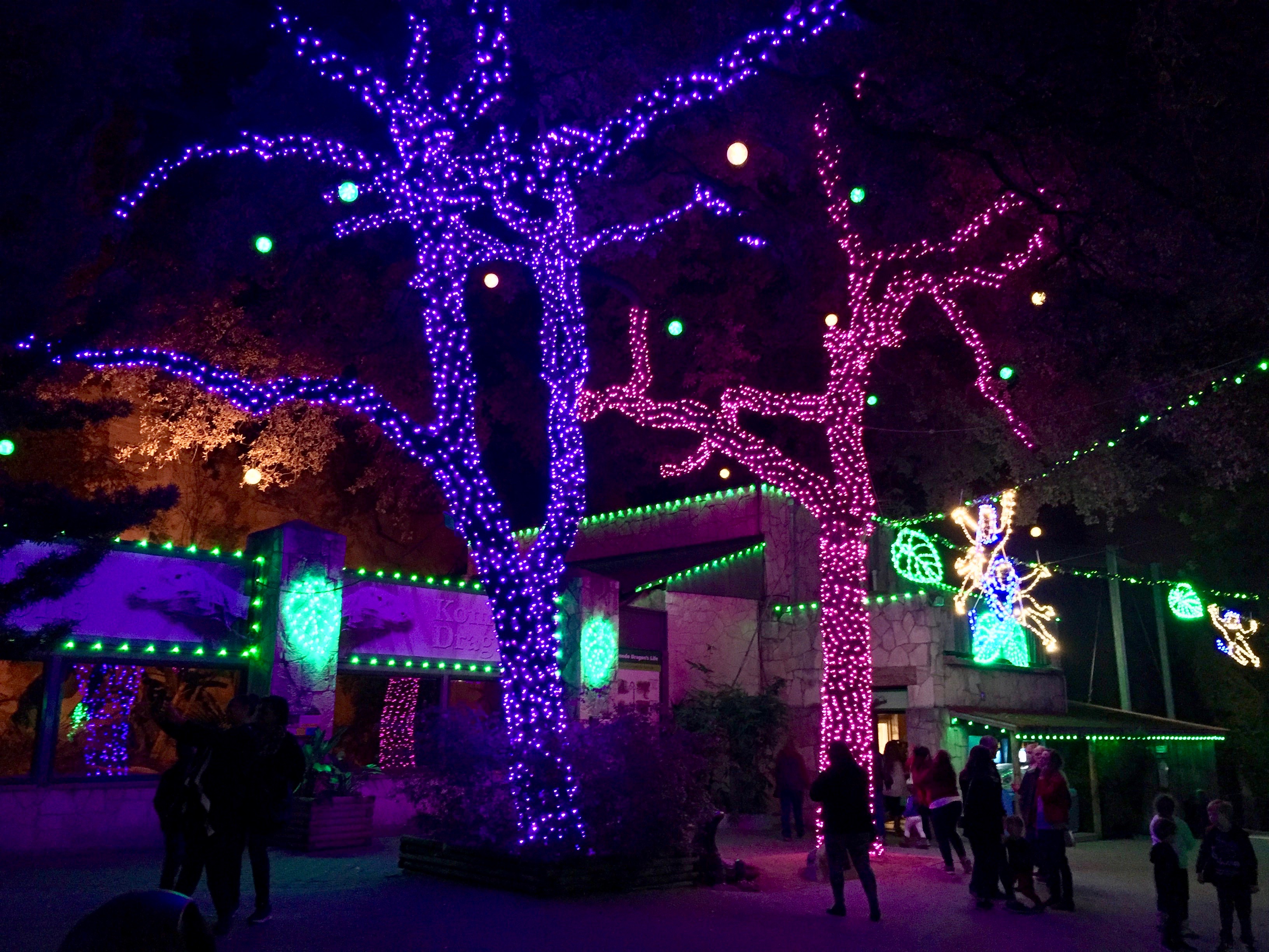 San Antonio Zoo Lights 2016 Amanda L. James Law