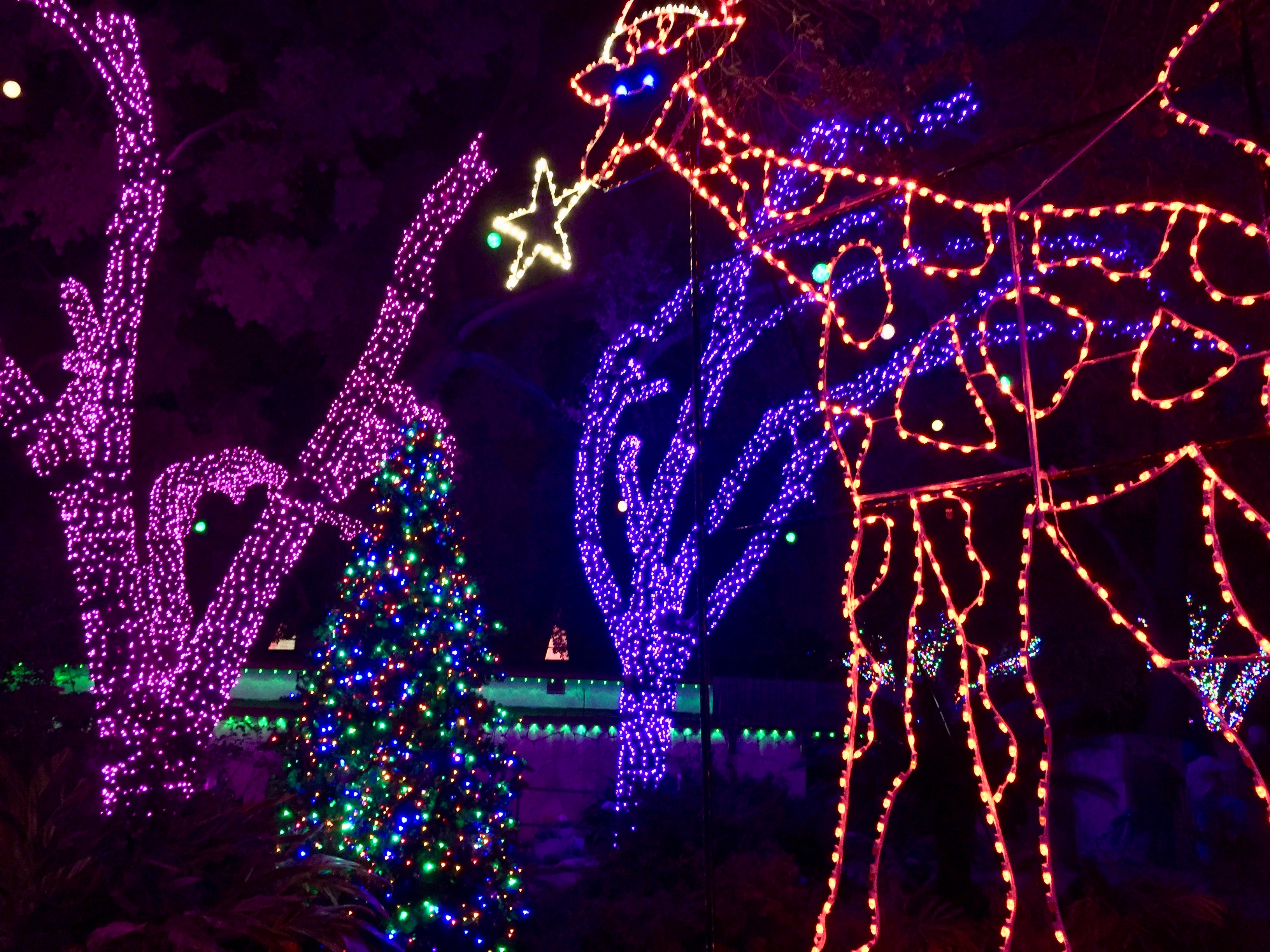 san antonio zoo lights 2016 amanda l james law san antonio zoo lights 2016