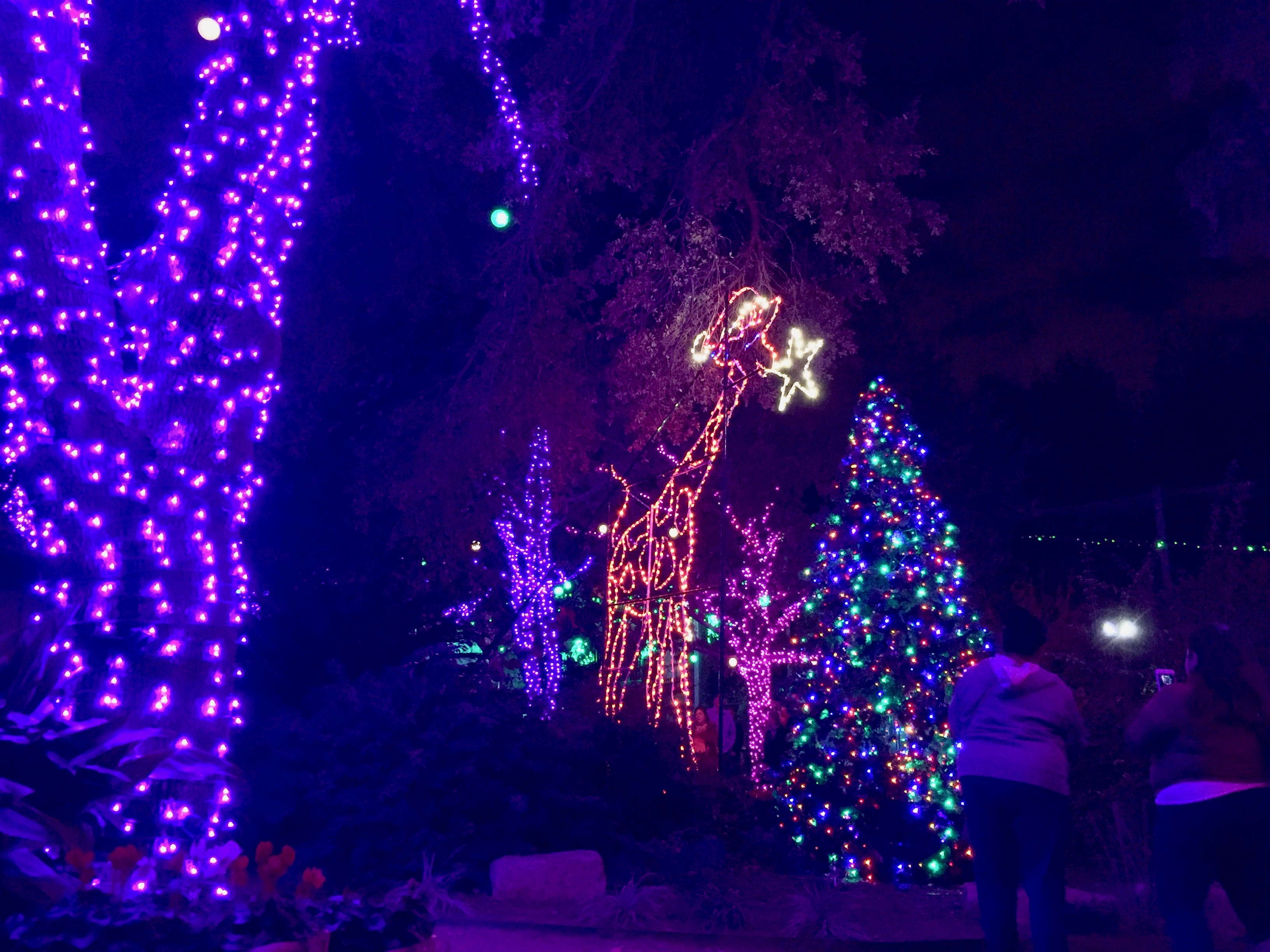 san antonio zoo lights 2016 amanda l james law san antonio zoo lights 2016