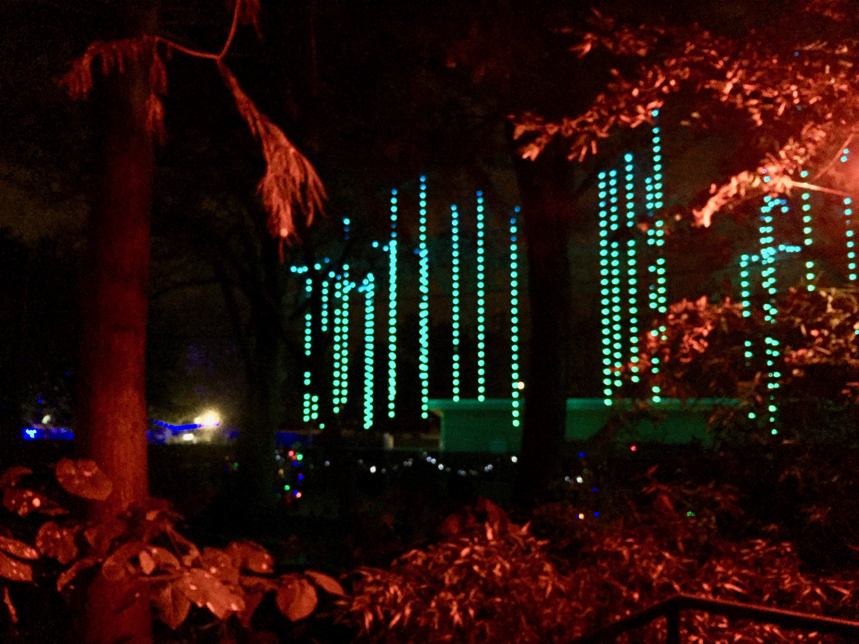 San Antonio Zoo Lights 2016 Amanda L. James Law